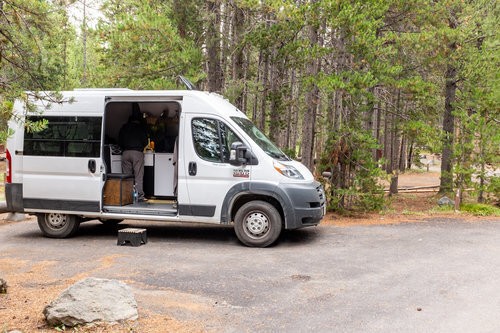 Native Campervans amongst the trees at a campsite
