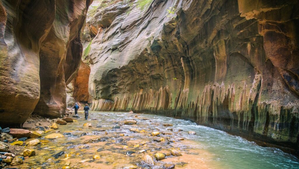 The narrows in Zion National Park