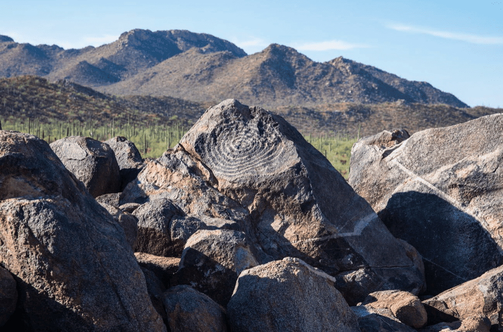 Petroglyphs in Saguaro National Park