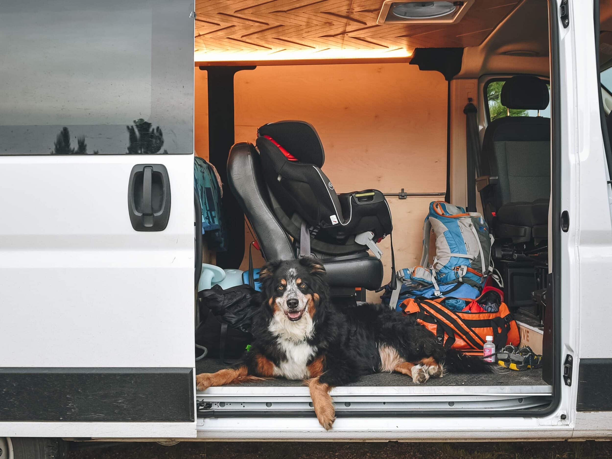 Camping with Pets and Kids