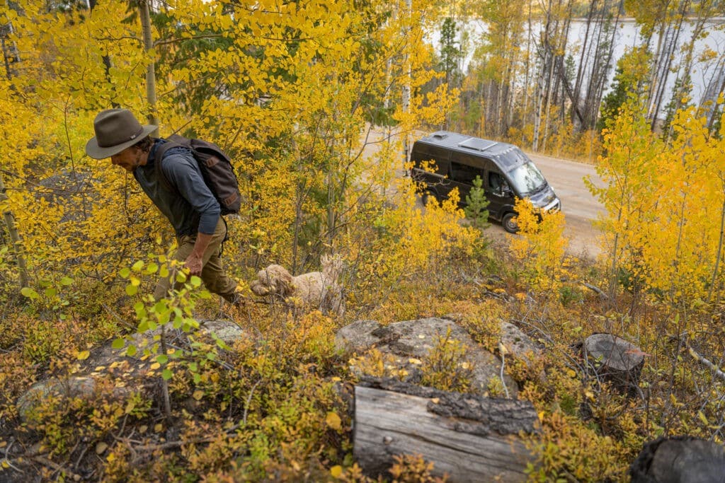 Hike with a dog during fall in Colorado