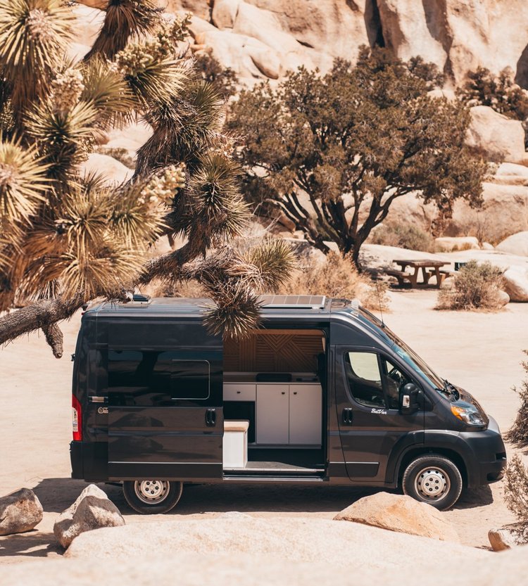 Campervan in Joshua Tree National Park