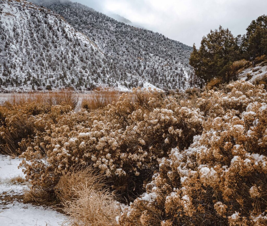 Winter Camping near Vegas