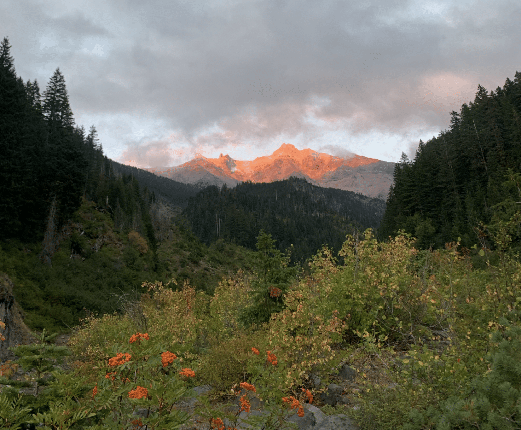 Scenic Oregon mountainside
