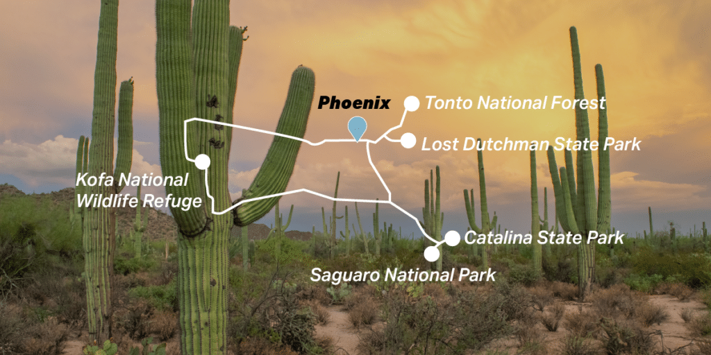 Arizona Campervan Winter