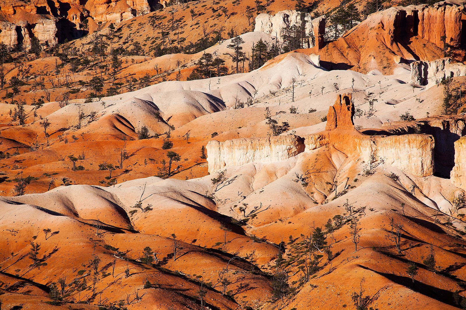 Bryce Canyon National Park