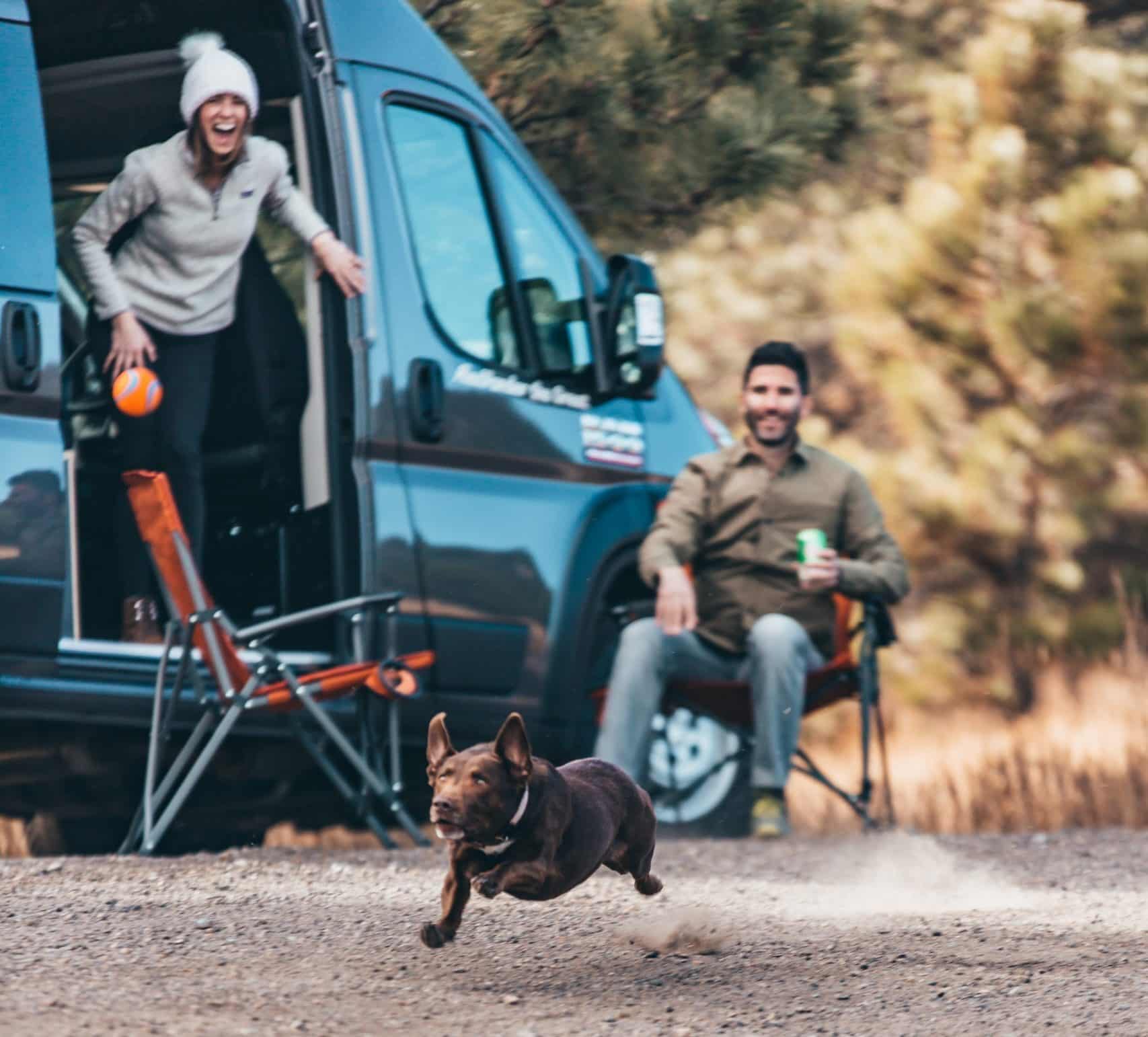 Dog playing fetch next to a Campervan Rental