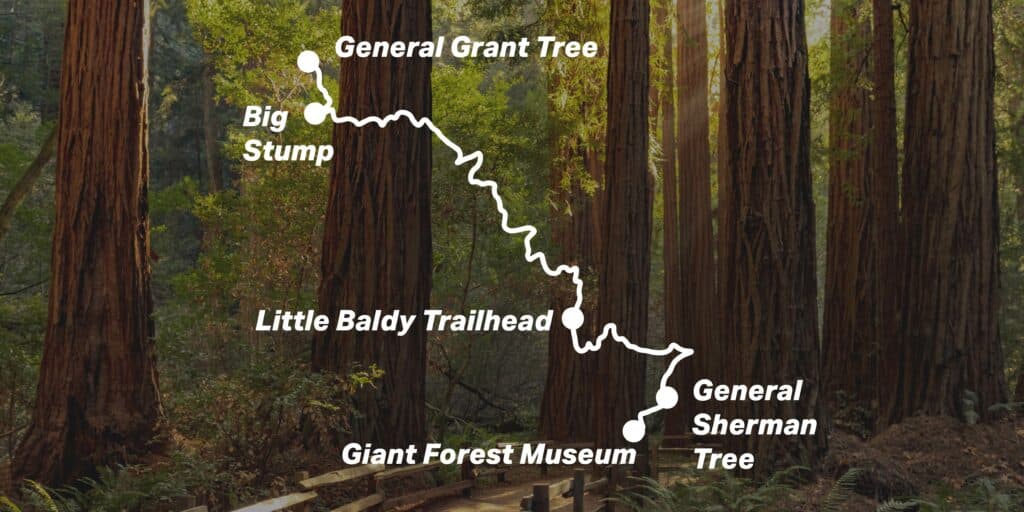 King Canyon Sequoia Road Trip Campervan Rental