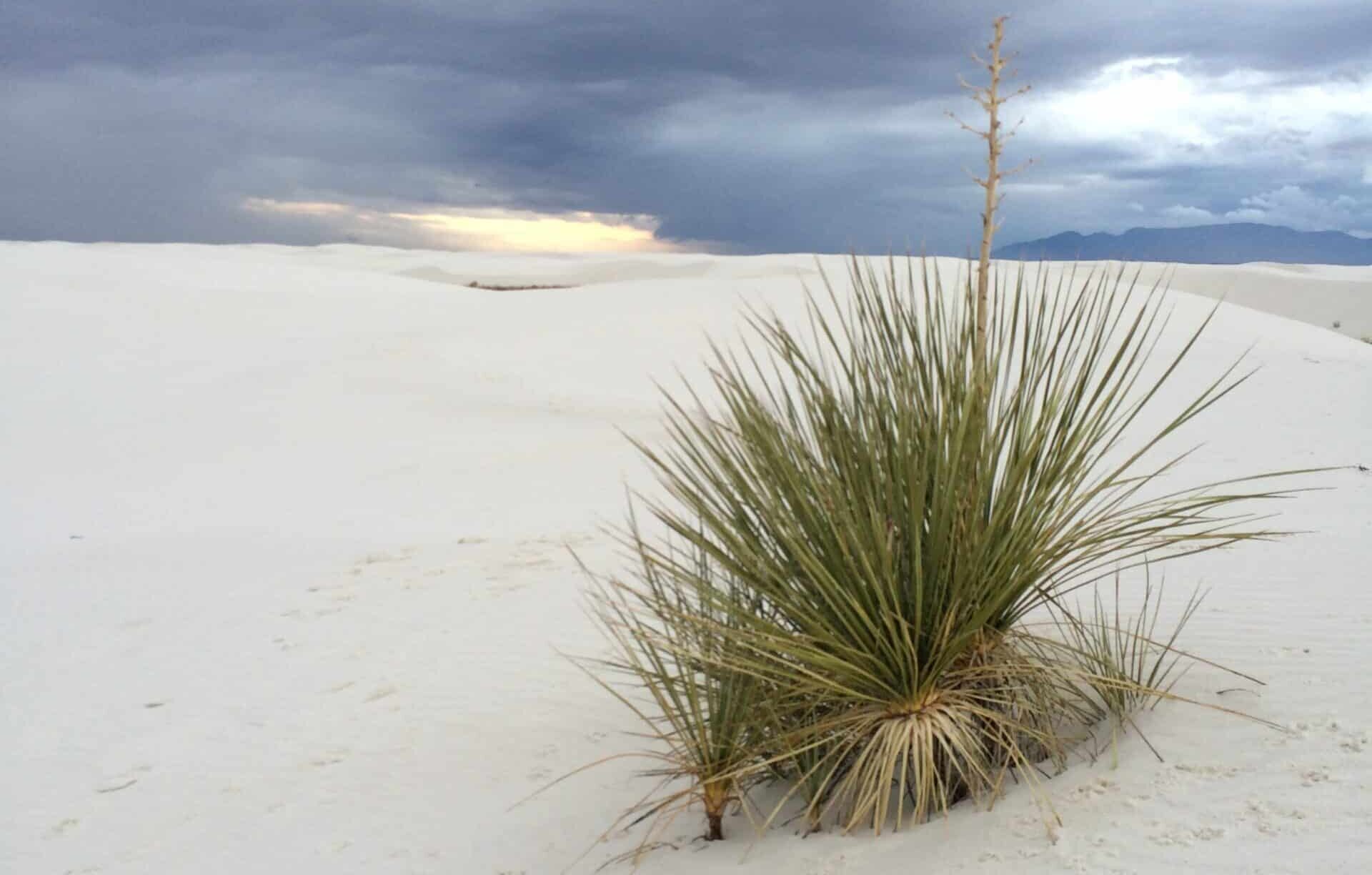 White Sands National Park
