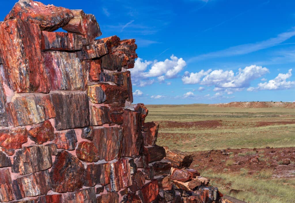 Petrified Forest Arizona National Park in Campervan Rental