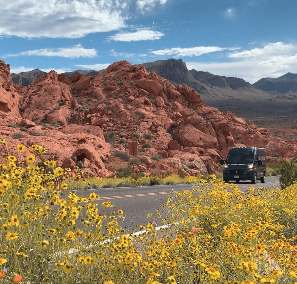 wildflower travel vanlife road trip